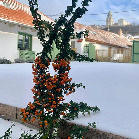 Várlak *