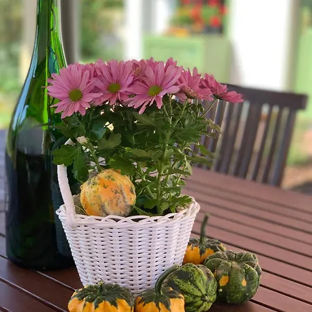 Várlak Appartement *