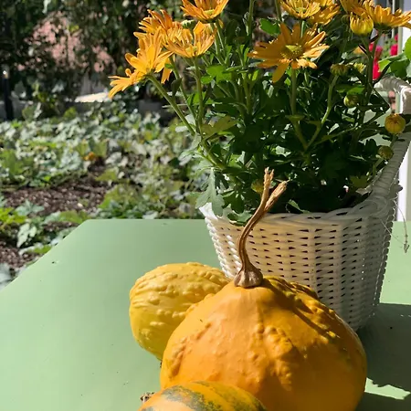 Appartement Várlak *