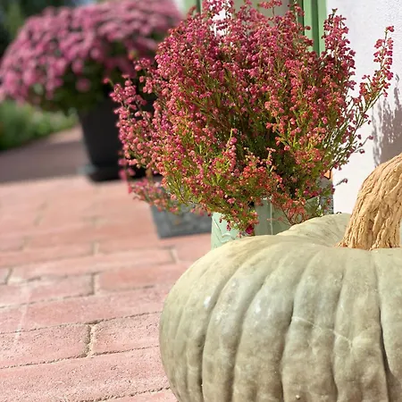 Várlak * Pannonhalma