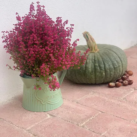 Appartement Várlak *